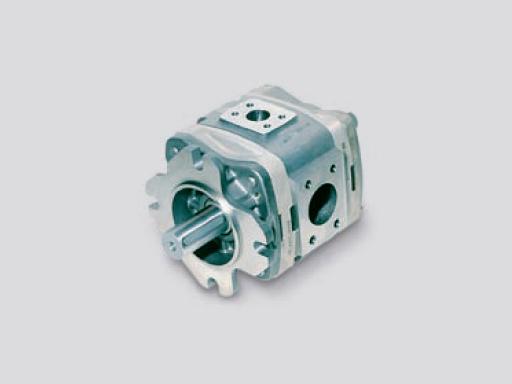 IPVP High-pressure internal gear pumps